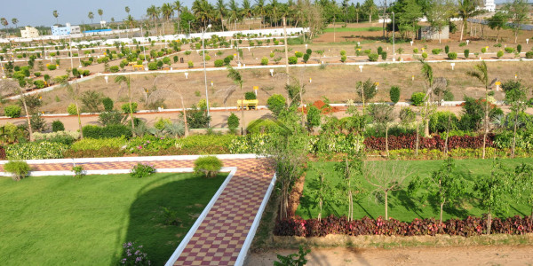 DHA Phase 8 - Block W, 1 KANAL PLOT