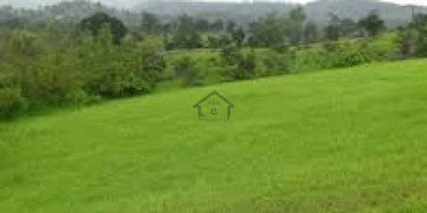 DHA Phase 7 - 1 Kanal Plot No 33 Corner 150 Ft Road Direct Owner