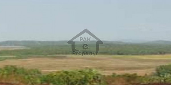 1 Kanal Affidavit File Available Of Dha Multan At 45.25 Lac