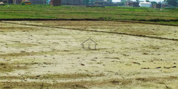 Arbab Road - 8 Marla Residential Plot Is Available For Sale