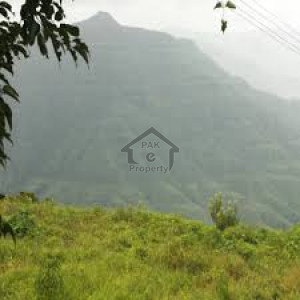 Wapda Town,10 Marla Plot File For Sale