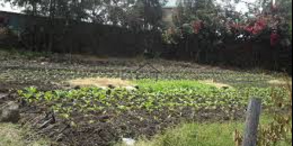 Wapda Town,10 Marla Plot File For Sale