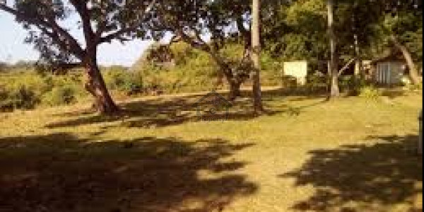 Wapda Town-4 Marla-Plot Is Available For Sale