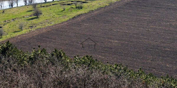 Arbab Road - 7 Marla Residential Plot Available For Sale