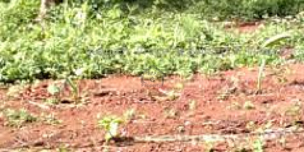 Airport Avenue Housing,10 Marla-Commercial Plot File For Sale