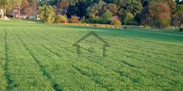 5 Marla Open Plot File Available For Sale