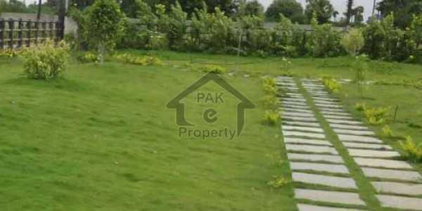 1 Kanal Allocation & Affidavit Files Available Of DHA Multan At 45.25 Lakh