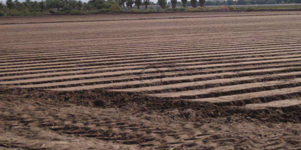 PIA Housing Scheme - Block E,Plot Is Available For Sale