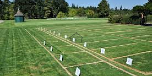 State Life Phase 1 - Block B,1 Kanal Plot For Sale