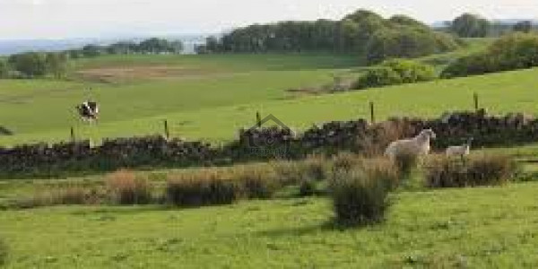 DHA Phase 9 Prism - Block J,Plot Is Available For Sale