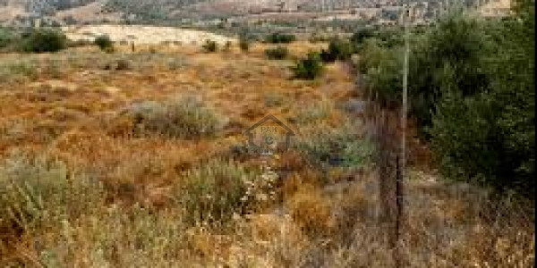 GT Road,Commercial Plot For Sale