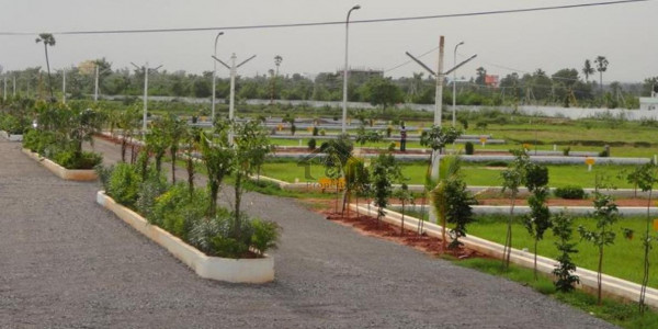 1 Kanal Plot For Sale In Tipu Block