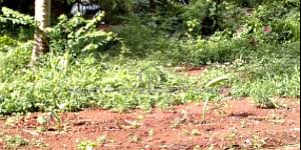 Khayaban-e-Greens, 7 Marla-Plot Available For Sale