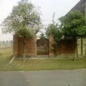 Plot for Sale in Wapda City Faisaiabad