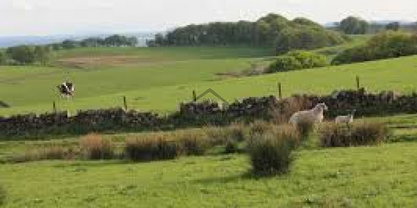 Batala Colony-17 Marla-Commercial Plot Is Available For Sale