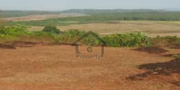 Book 1 Kanal Residential Plot File In Green Palms Gwadar On Easy Installments