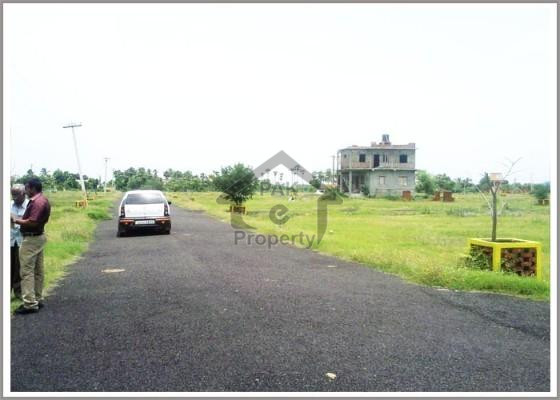 Standard Location Good Plot For Sale