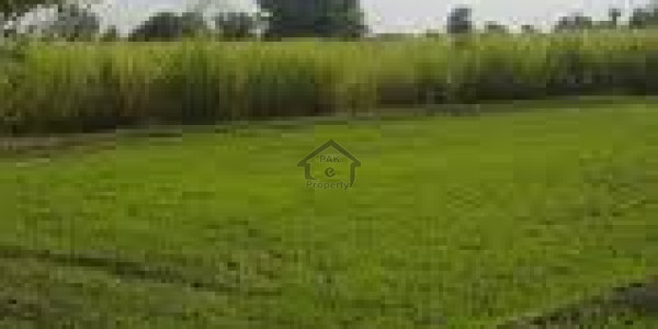 Susan Road - 7 Acre Agriculture Land for Sale at Motorway M 3 Interchange IN Faisalabad