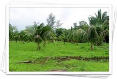 Samundari Road - 22 Marla Industrial Plot Available For Sale  IN Faisalabad