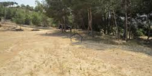 Royal Palm City-  10 Marla-   Plot Royal Palm City Gujranwala For Sale.