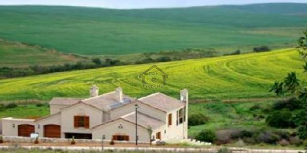 Royal Palm City-  10 Marla-  Plot Royal Palm City Gujranwala For Sale.