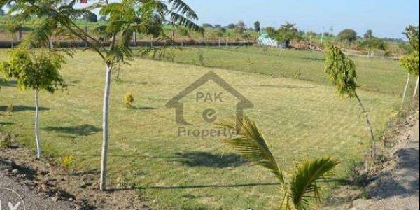 Qda Zarghoon Housing Scheme - 1080 Foot Plot - At A Fine Price Plot File For Sale