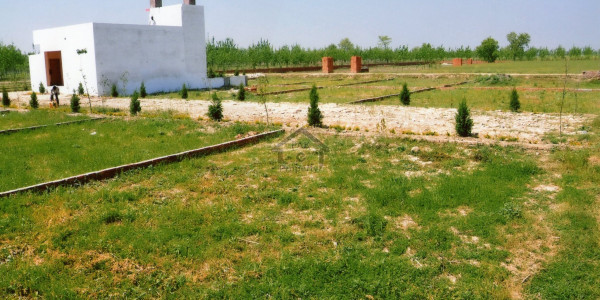 Motorway City-44 Kanal Land Available For Sale