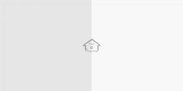 Akbar Road - Double Story Beautiful Furnished House For Sale IN Okara