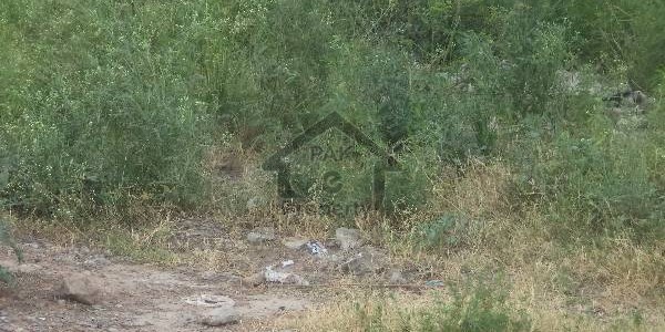 Plot Available For Sale In CDA Sector E-12/4 On Marvelous Location