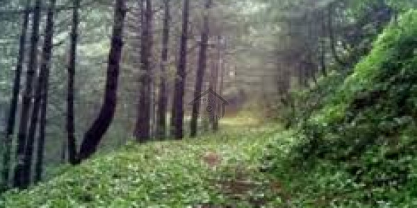 Murree Resorts-   5 Marla-   Beautiful Locations Plot For Sale.