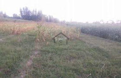 Patriata-    10 Marla-    Residential Plot For Sale.