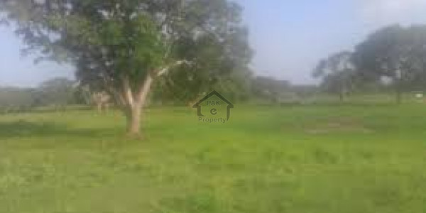 Rahim Yar Khan Bypass-   3 Marla-    Commercial Plot For Sale.