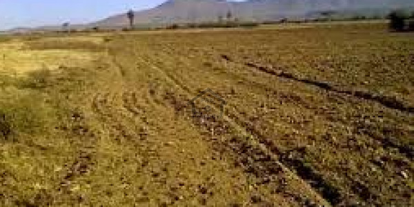 Rahim Yar Khan Bypass-   3 Marla-    Commercial Plot For Sale.