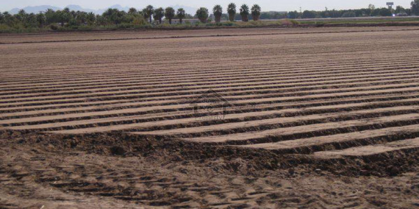 Usman Road-   5 Marla-   Residential Plot For Sale.