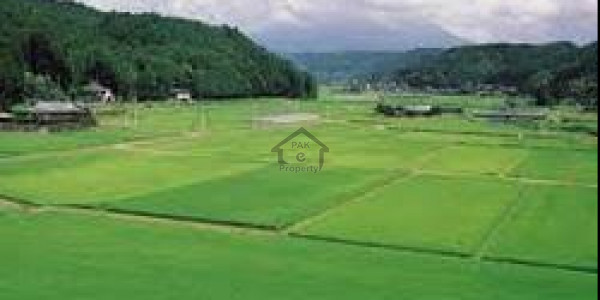 Thalian Interchange 200 Kanal-Land For Sale