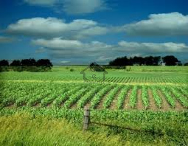 Shahpur Dam, 18 Kanal -Agricultural Land