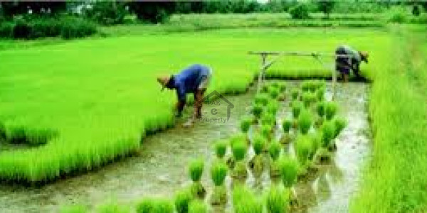 Fateh Jang Road, 200 Kanal-Agricultural Land Is Available For Sale