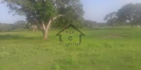 Plot For Sale In Nawabshah