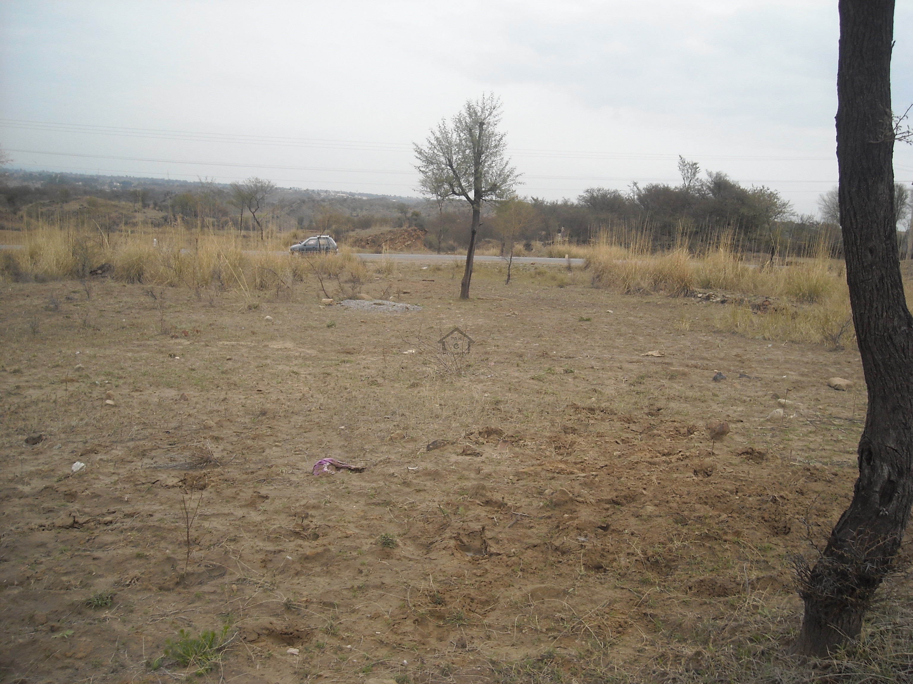 100 yards residential plot for sale on Iqbal lane 9