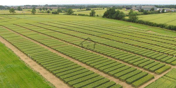 Bahria Hamlet,10 Marla -Plot Available For Sale