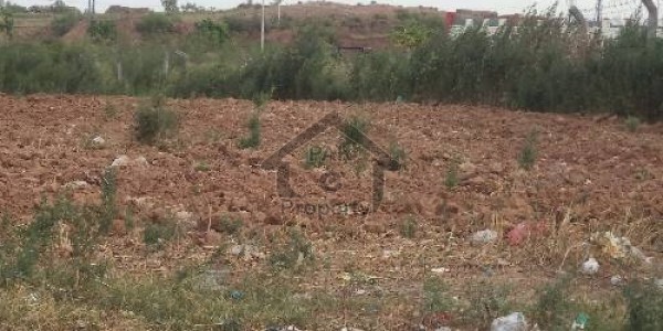 Beautiful Plots Available For Sale In I-12/3 On Prime Location