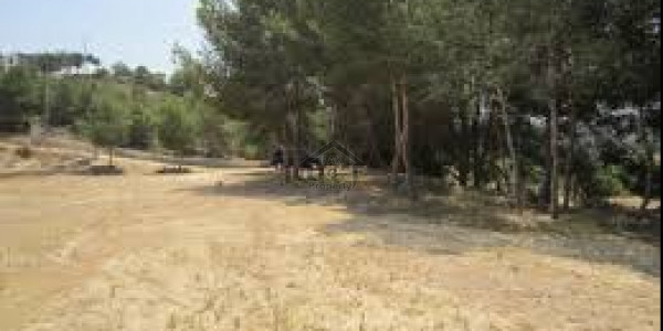 Residential Plot File For Sale In Mpchs Block F Islamabad