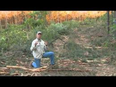 Bahria Town Phase 8 - Block C - 1 Kanal Residential Plot Available For Sale IN  Rawalpindi