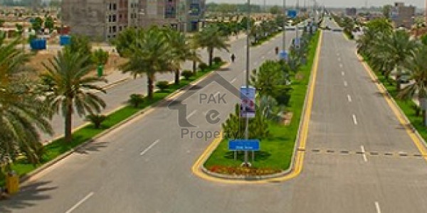 200 Yards Residential Plot Sector 6 D Available For Sale