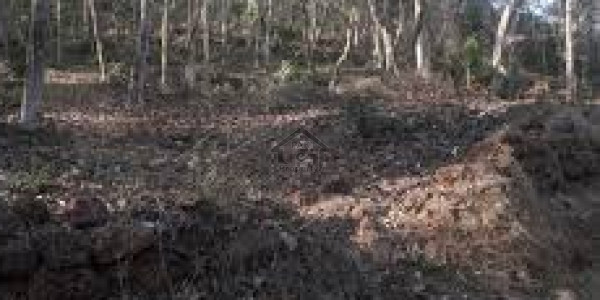 E-16/2 - 11 Marla Residential Plot Available For Sale IN Islamabad