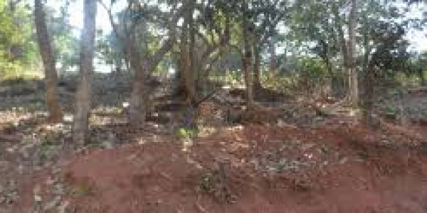 E-17/2 - 1 Kanal Plot File Available For Sale IN Islamabad