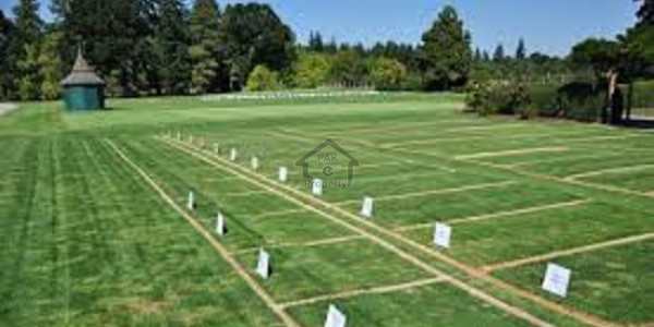 DHA Phase 6 - 4 MARLA PAIR COMMERCIAL PLOT FOR SALE