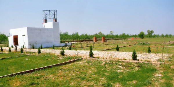 DHA Phase 6 - 4 MARLA PAIR COMMERCIAL PLOT FOR SALE