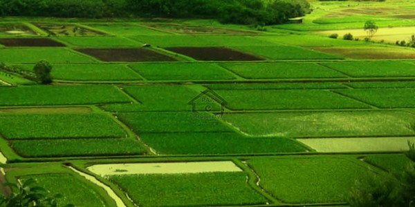 DHA Defence-   1 Kanal-    Plot File For Sale.