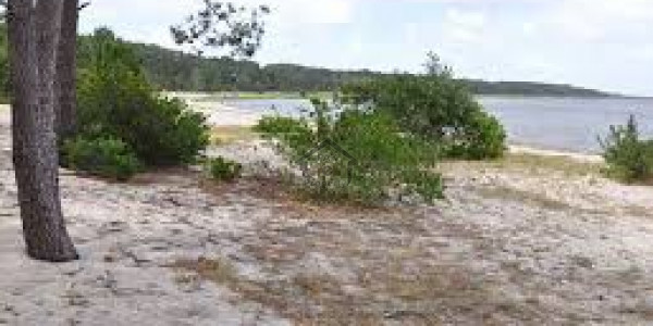 Gulshan-e-Mehmood ul Haq-   120 Sq Yd-    Plot For Sale.